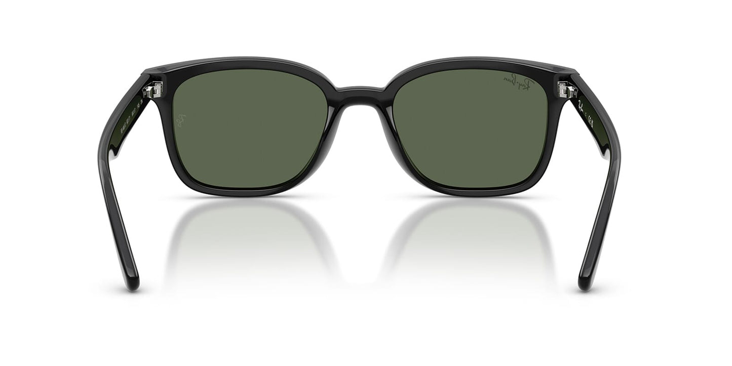 Ray-Ban RB 4461D 601/71