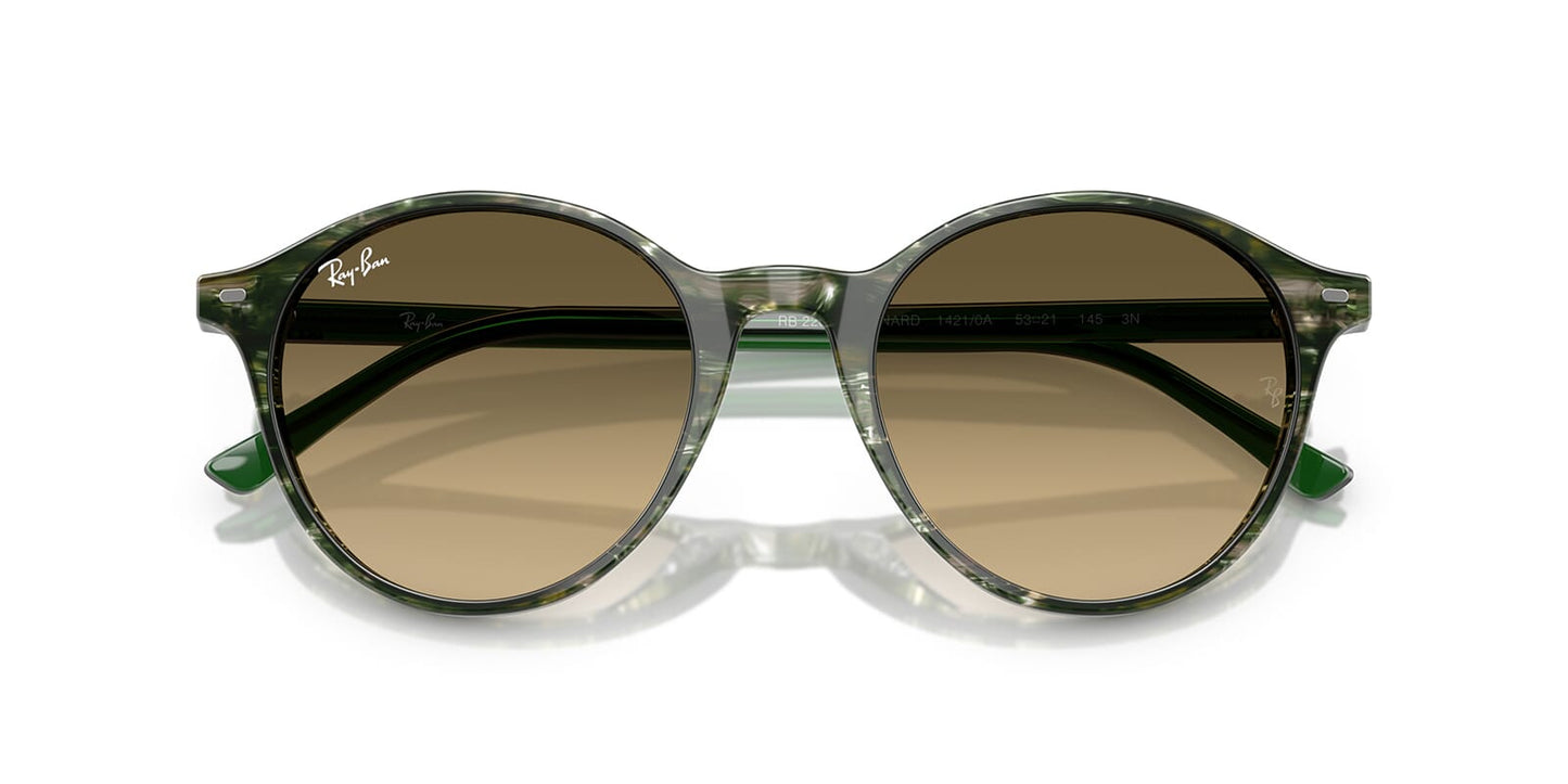 Ray-Ban Bernard RB 2230 1421/0A