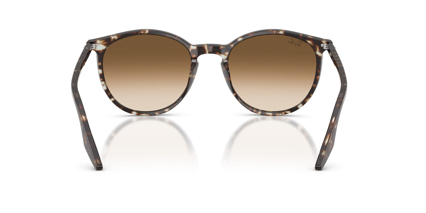 Ray-Ban RB 2204 1431/51