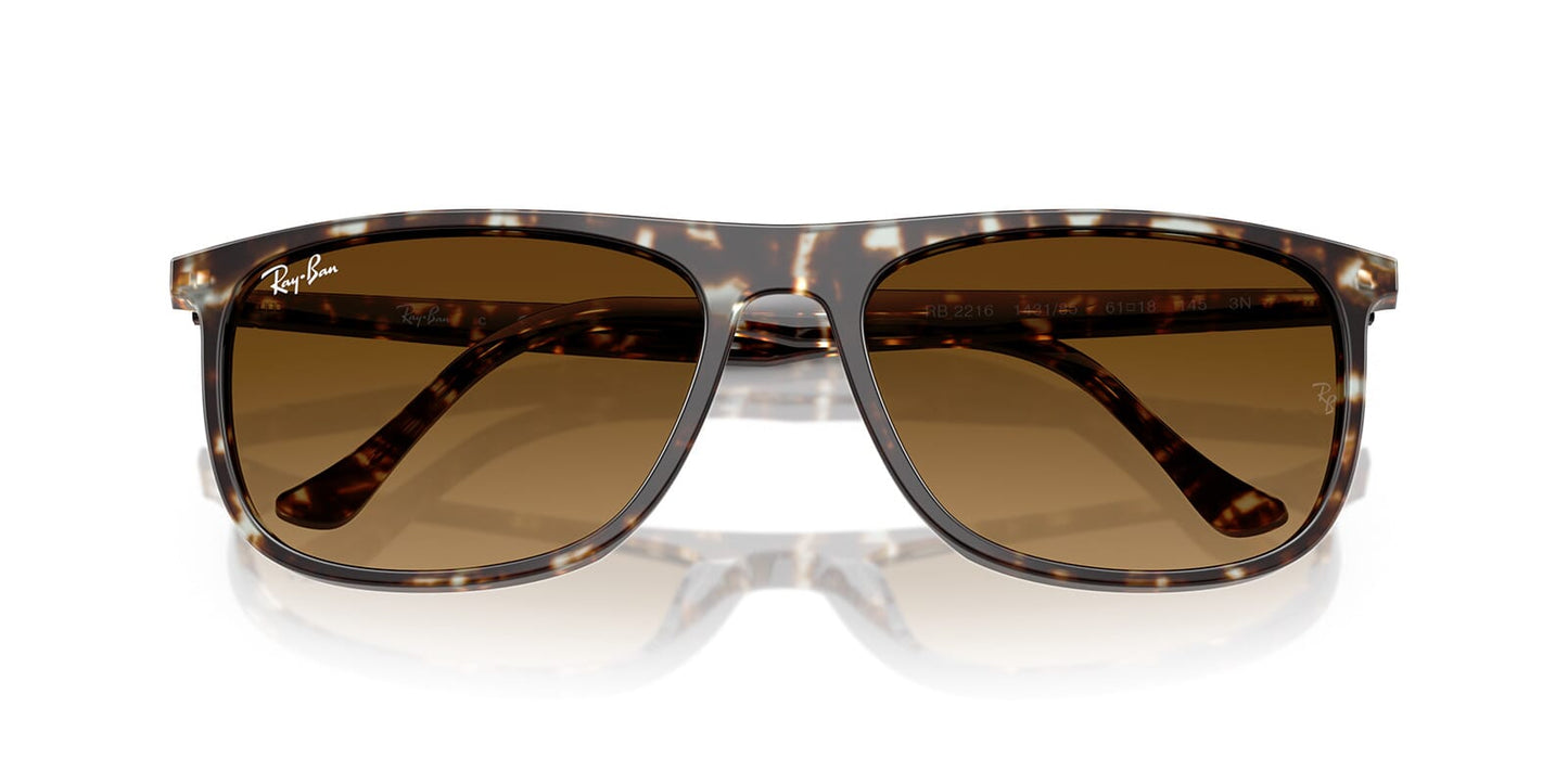 Ray-Ban RB 2216 1431/85