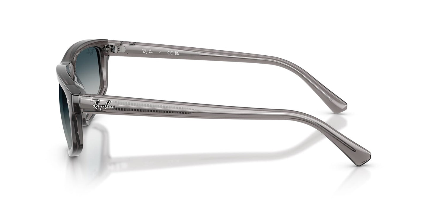 Ray-Ban RB 2225 667532