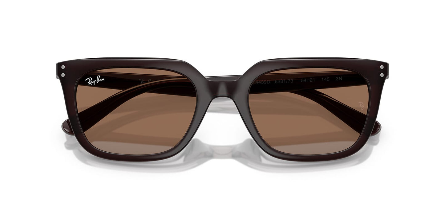 Ray-Ban RB 4439D 6231/73