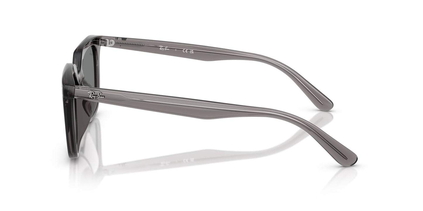 Ray-Ban RB 4439D 6675/87