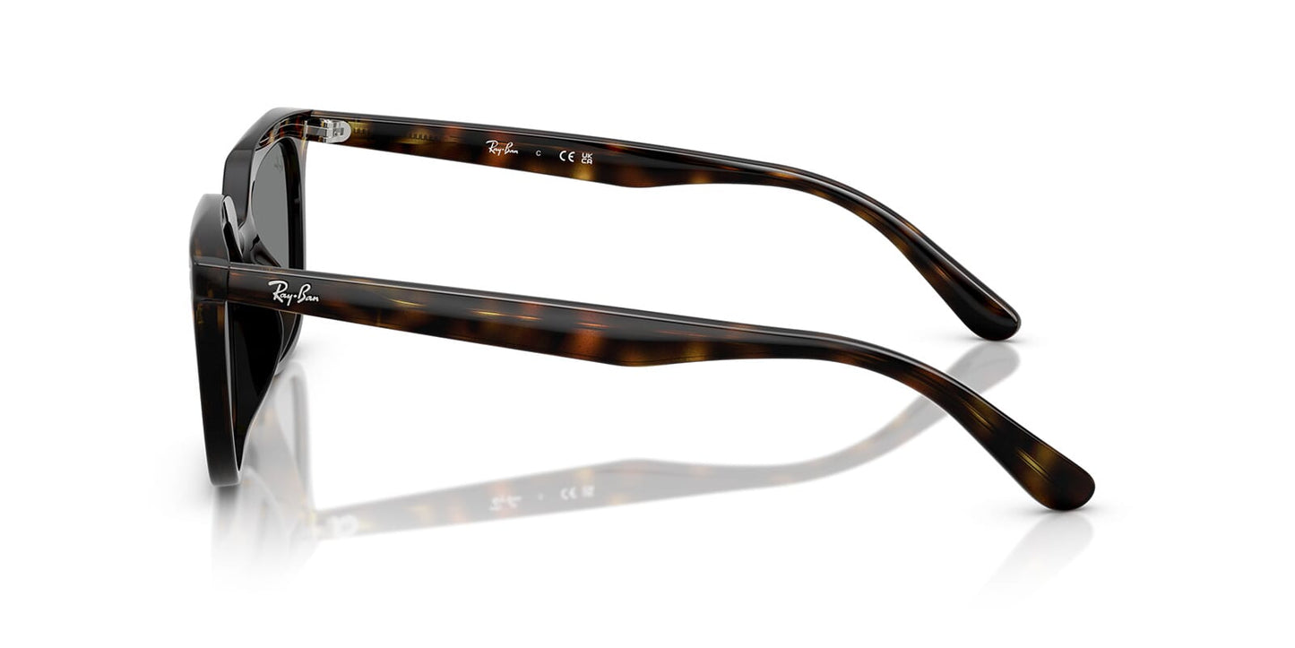 Ray-Ban RB 4439D 710/87